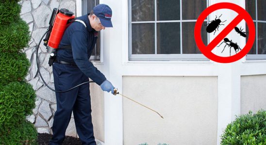 Balıklıova Hamam Böceği İlaçlama böcek ilaçlama ve haşere kontrolü — ilaclama-tr.com